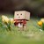 :icontay-tay80246: