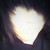 :icontaylorb101: