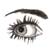 :icontaylorbradshaw: