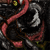 :icontaylorgarrity: