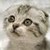 :icontaylormaylor: