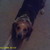 Taytay6712 :icontaytay6712:
