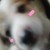 :iconTayuyaXIII: