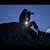 :icontazer-photographies:
