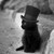 Tazz-o-man :icontazz-o-man: