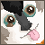 :icontazzmeraz:
