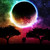 :icontblacktwig: