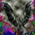 :icontbvh2: