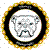 :icontdawgs-photography: