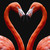 :icontdisillybandmaniac37: