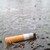 :icontdot77: