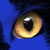 :icontdswhite: