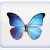 :icontea-green: