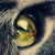 :icontea1450:
