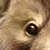 :iconteabeforewar: