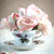 :iconteacup-of-roses: