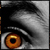 :iconteaim: