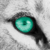 :icontealeyedwinterlion: