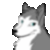 :iconTealHusky:
