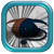 :iconteallight:
