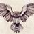:icontealowl: