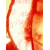 :iconteam-euphoria: