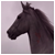 :iconteam-meatball:
