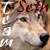 :iconteam-seth: