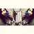 :iconteamgirvamp: