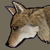:iconteamjacobblack:
