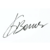 :iconteamtruejb: