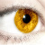 :iconteamxedward: