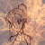 :icontear-drop-fire: