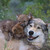 :iconteardowndoors:
