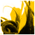 :iconTearDrop-OnTears: