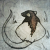 :iconteardropix: