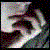 :icontearofturpentine: