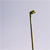 :icontebtiphoto:
