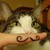 :icontechbird: