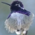 :icontechieaddict: