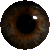:icontechman: