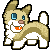 :icontechnicoiored: