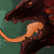 :icontechnicolouredsalmon: