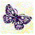 :icontechnoblossom: