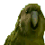 :icontechnochicken: