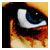 :icontecksture: