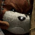 :iconteddybehr: