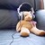 :icontedybear17: