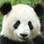 :iconteeneymouse: