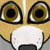 :iconteffshi: